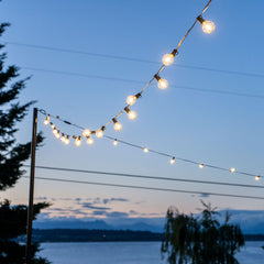Bistro LED String Lights - Black, 25'
