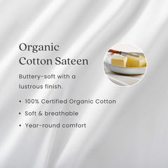 Organic Cotton Sateen Mattress/Box Spring Protector - 12 in., Full