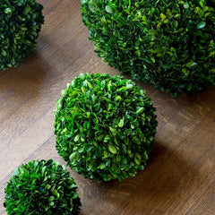 Preserved Boxwood Ball - Green, 8"