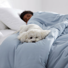 Classic Smooth Rayon Made From Bamboo Sateen Comforter - White, Full