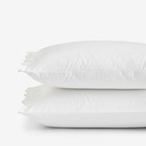 Embroidered Scallop Classic Smooth Sateen Solid Pillowcase Set - Ivory, Standard