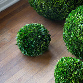 Preserved Boxwood Ball - Green, 10"