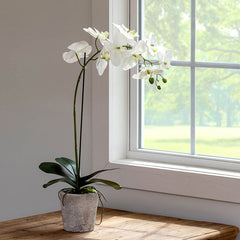 Faux Orchid Plant in Decorative Pot