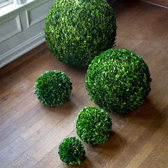 Preserved Boxwood Ball -  Green, 10"