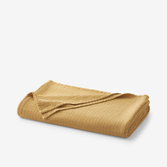 Gossamer Cotton Throw - Gold