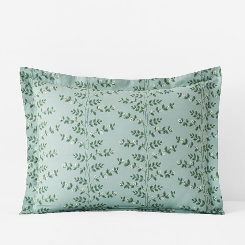Climbing Vines Classic Cool Cotton Percale Sham - Sage Green, King