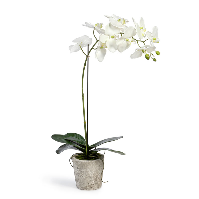 Faux Orchid Plant in Decorative Pot