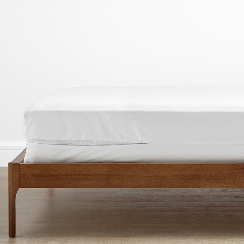 Mattress/Box Spring Protector - 12 in., King