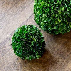 Preserved Boxwood Ball -  Green, 6"