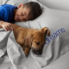 Classic Cool Organic Cotton Percale Solid Sham - Gray, Euro